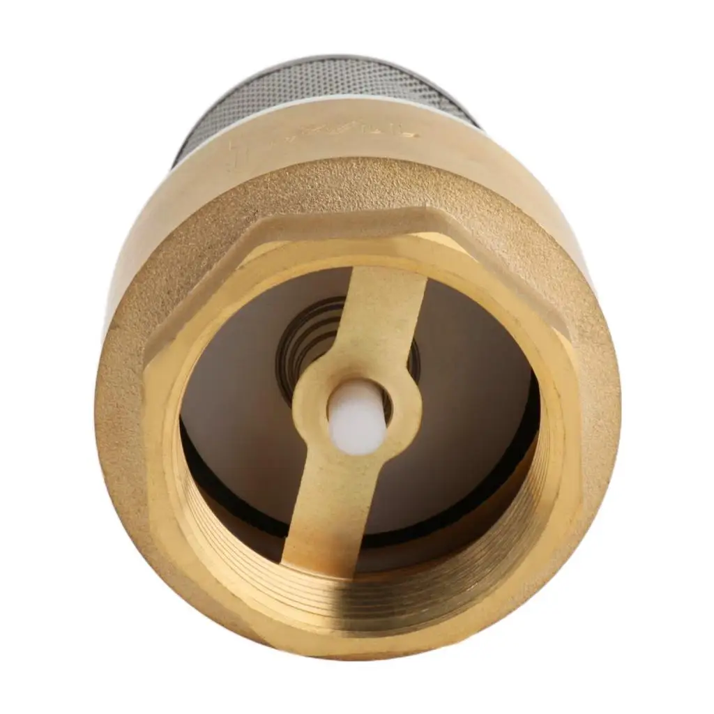 Check Valve for Water Pump DN40 Brass Foot Valve with Strainer 1.5 Inch Spring Loaded Pipe End Unit