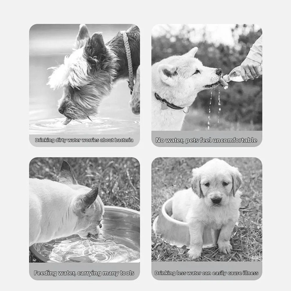 

2 in 1 Outdoor Dog Water Bottle Leak-Proof Cloud Shape Pet Feeder Transparent Portable Pet Food Containers Outdoor Travel