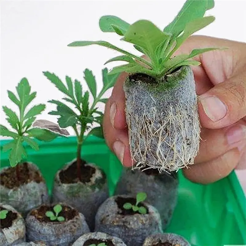【EFFICIENT 】150 PCS Peat Pellets Seeding Soil, Nutrient Block Compressed Peat Block, For In/Outdoor Gardening Seedling Transplan