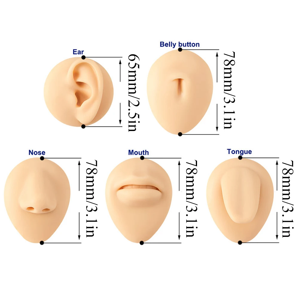 Practice Piercing Tools Silicone Simulation Face Model With Display Stand Human Mouth Nose Ear Tongue Model School Teaching Tool
