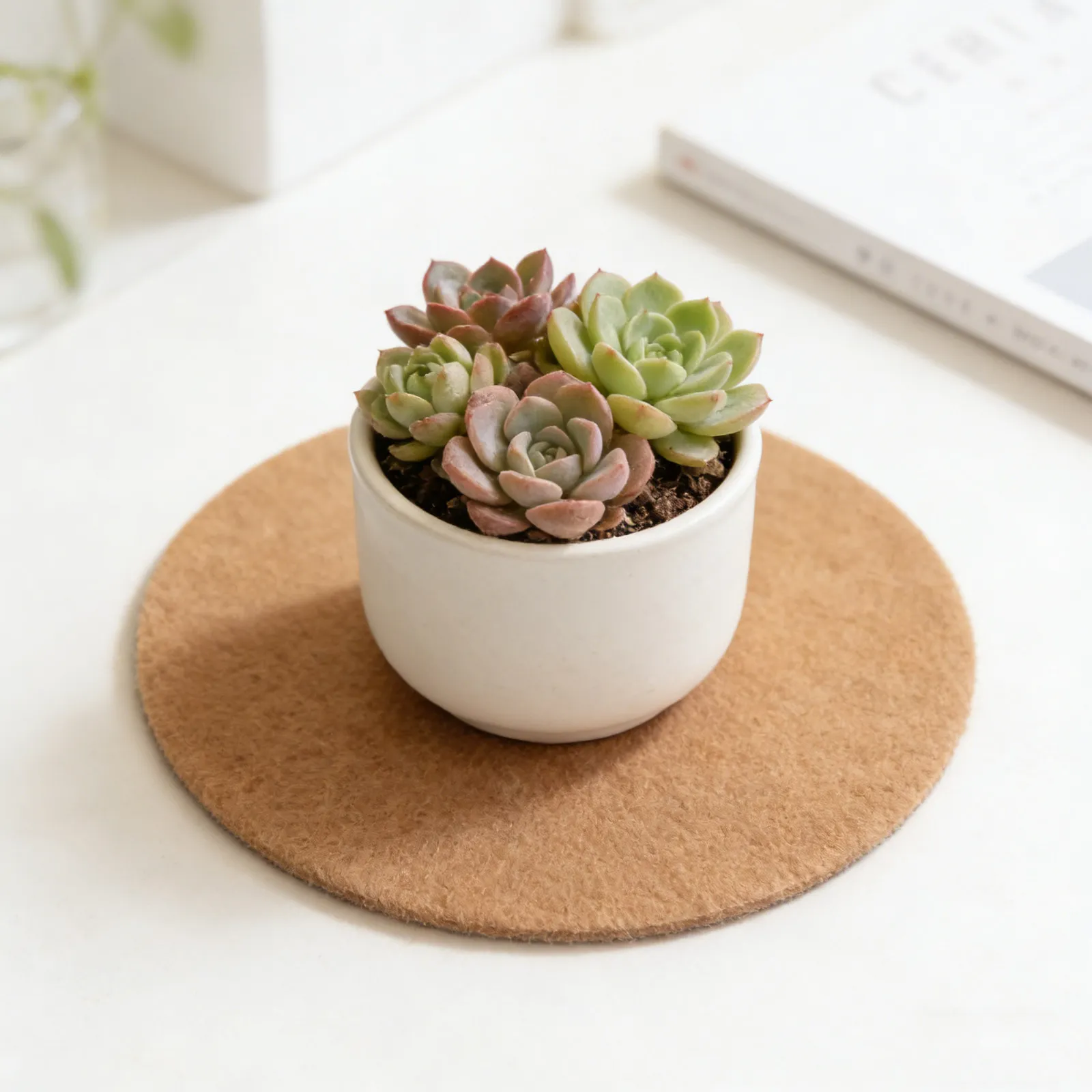 10Pcs Absorbent Plant Coasters Reversible Fabric Planter Mats 20Cm Round Flower Pot Protectors Felt Saucers for Indoor Outdoor