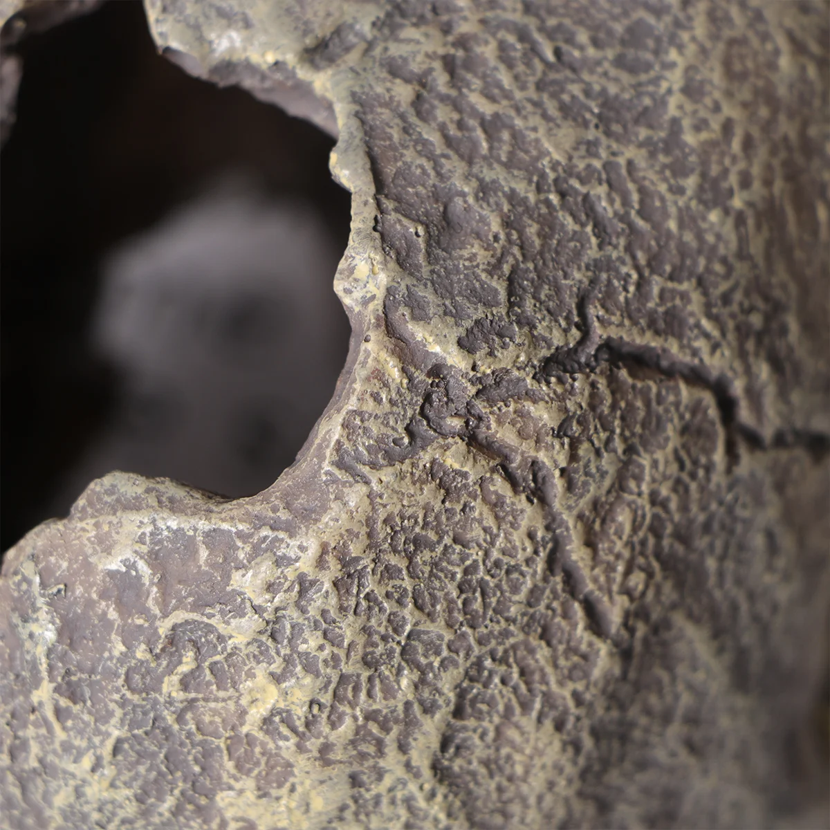 

Human Skull Aquarium Decoration Resin Funny Mini Skull Ornament Fish Tank Hideout Shelter for Reptiles and Fish