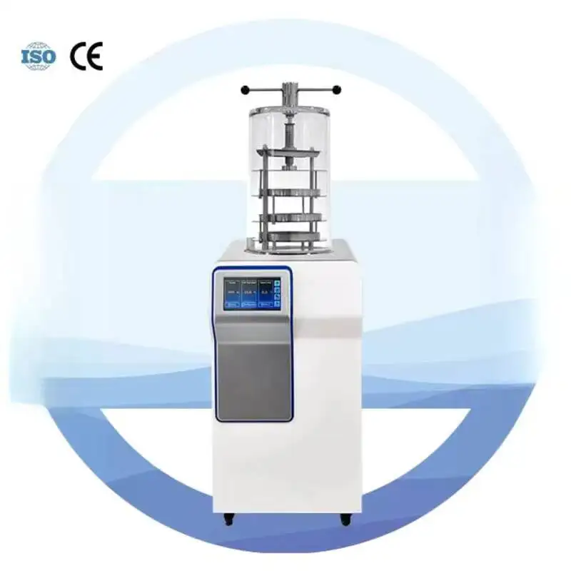 Industrial Pilot Freeze Equipment Vacuum Dryer For Laboratory And Hospital Use Fruit And Vegetable Crispy Food, Fruit