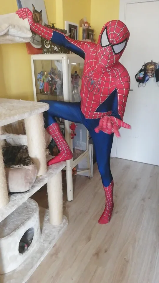 Raimi Spiderman Cosplay Traje para Adultos e Crianças, Spandex, Impresso em 3D, Super-herói, Zentai, Halloween, Óculos Triangulares, Bodysuit, Roupas