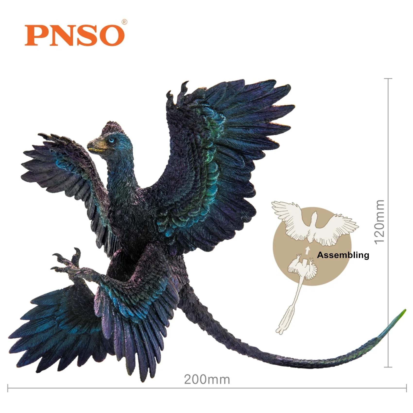 PNSO Microraptor Figure 29 Dromaeosaurus Model Dinosaur Animal Collector Decor Gift Adult Collection Science Toys Home