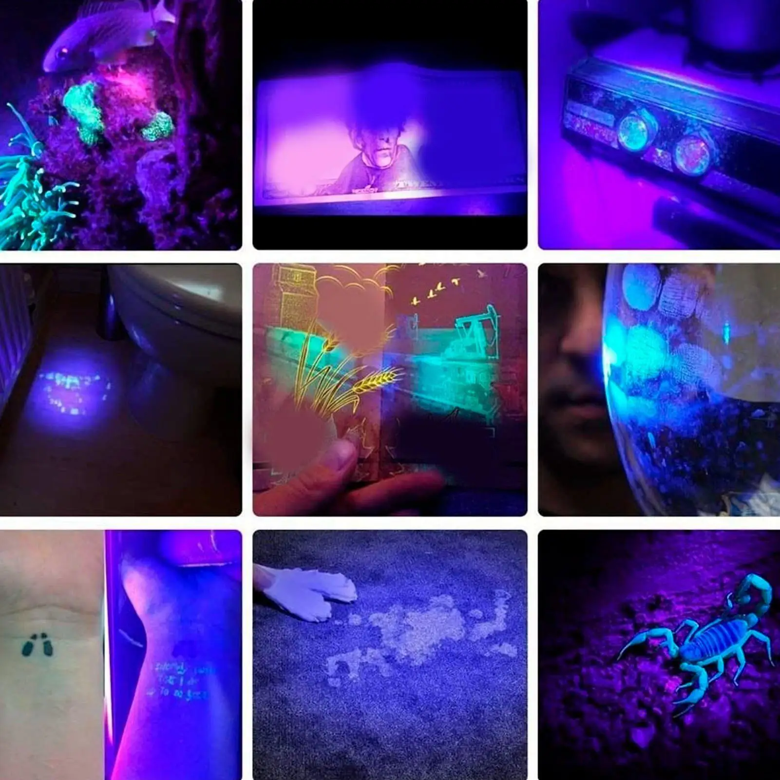 مصباح يدوي للأشعة فوق البنفسجية للكشف عن ببول الحيوانات الأليفة 365 نانومتر لعلاج الراتنج والكشف عن البقع، شعلة Blacklight المحمولة #5
