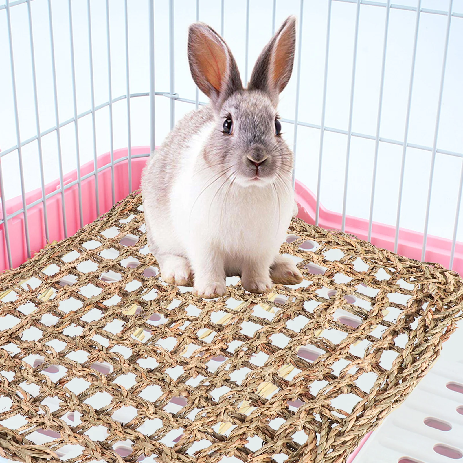 

2 Pcs Pet Grass Mat Bunny Hay Rabbit Bed Bedding Woven Squirrel Supplies Guinea Pig
