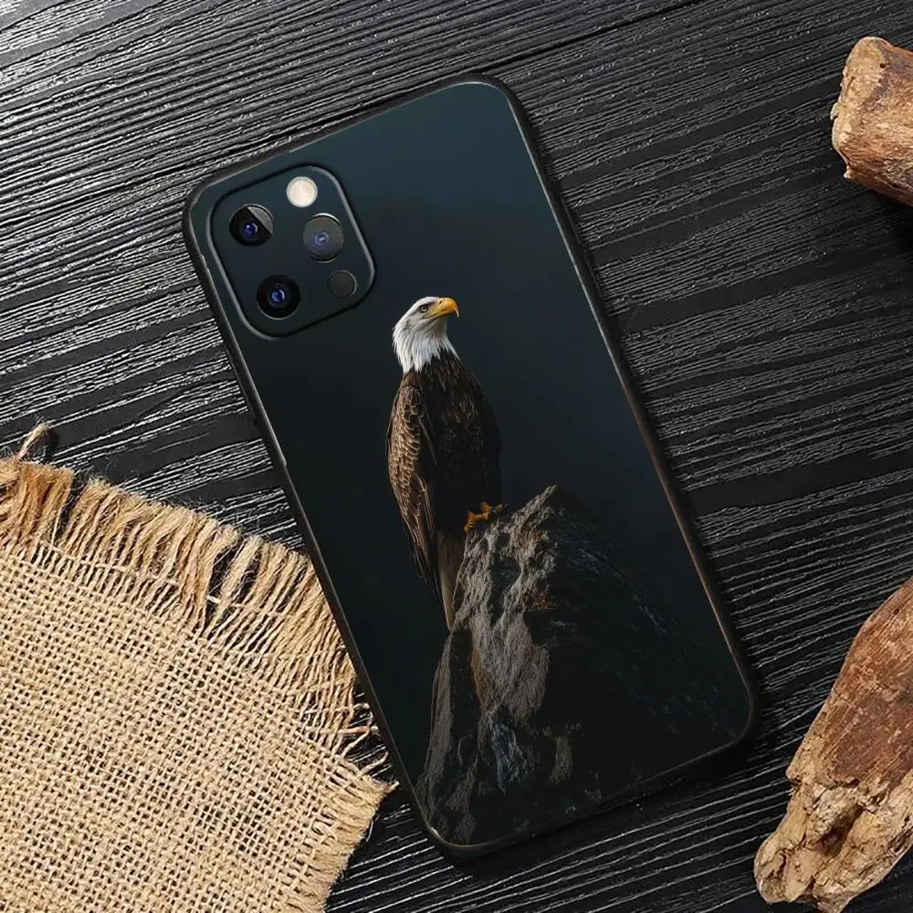 

Crow Standing on the Peak Phone Case is suitable for iPhone16, 17, 15, 14, 13, 12, 11 Pro/Max/Plus all inclusive matte soft case