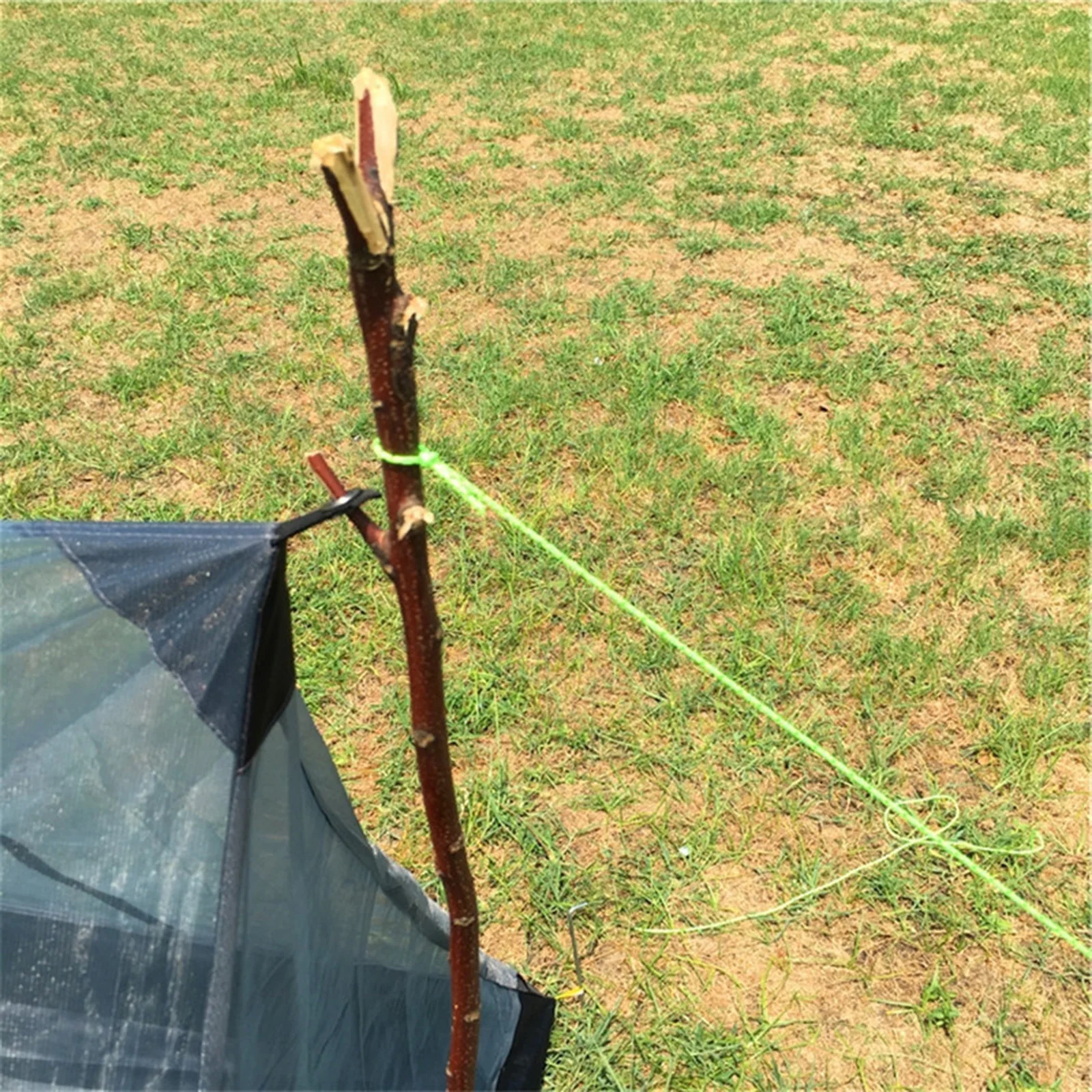 

Inner Tent Double Side Zippers For Garden Inner Tents Shield Waterproof PU 4000mm With Pegs 210D Oxford Fabric Camping Mesh Tent