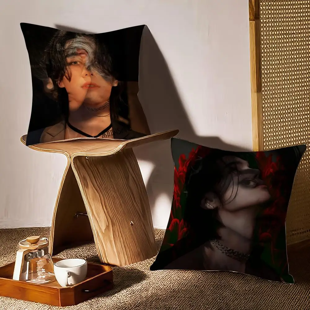 Jeff Satur Pillow Case Pattern Printed Pillowcase For Living Room Sofa Cushion Cover & Bedroom Decor