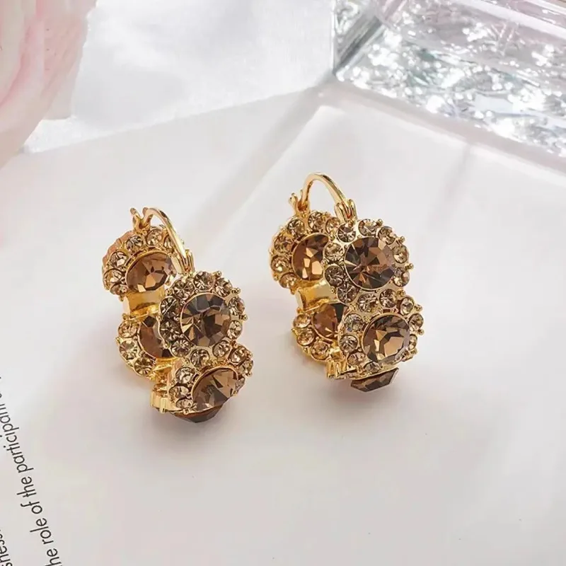 

Light Luxury Retro Coffee-colored Zircon Earrings Ear Rings, Women's Niche Design Sense Ear Buckles Elegant and Popular Earrings