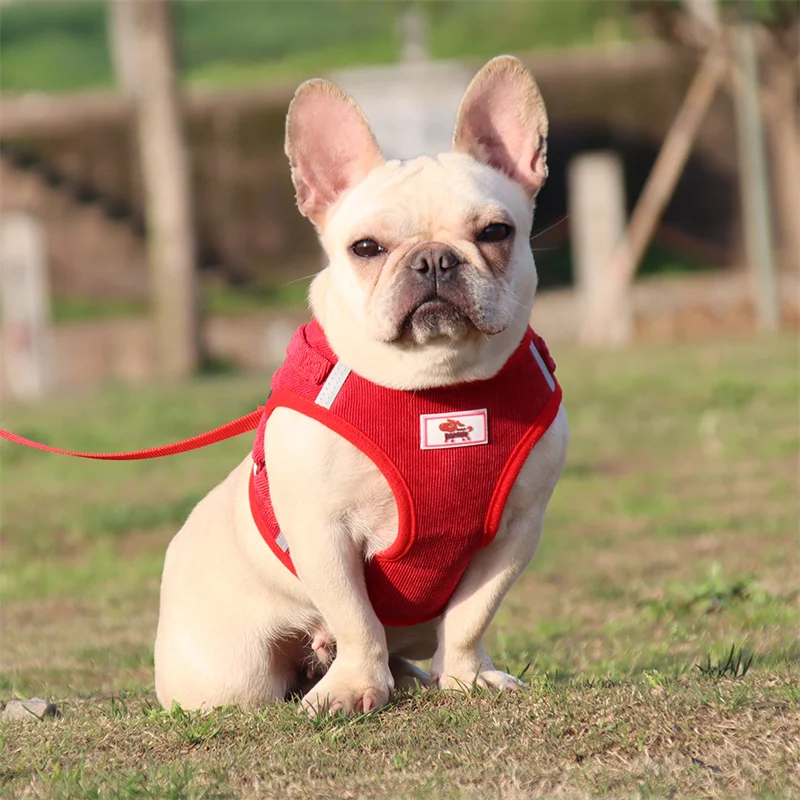 Sommer-Hundegeschirr- und Leinen-Sets: Reflektierende Mesh-Geschirre für kleine Hunde wie Pomeranian, Corgi, Yorkshire Welpen – Arnes Perro – Detail 7