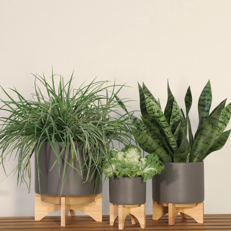 

8 PLANTER W/ WOOD STAND, MATTE GRAY