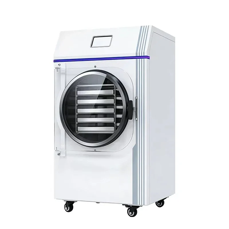

Automatic digital control small freeze dryer