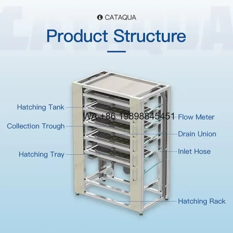 Wmwmnu Heavy Duty Modular Trout Fish Egg Hatchery Equipment Crab Farming RAS System with Oxygen Cone for Intensive