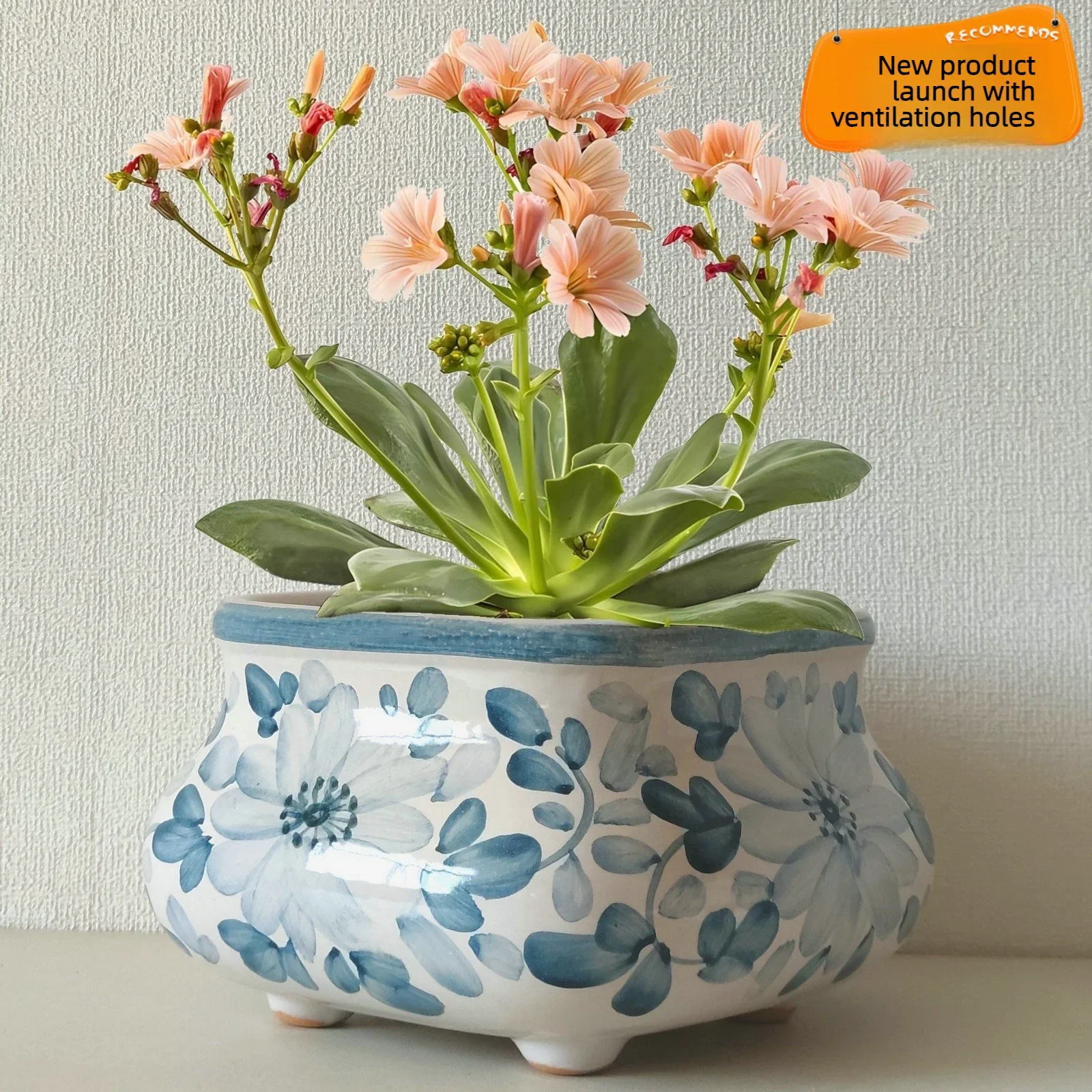 Hand-Painted Square Ceramic Succulent Planter Pot Unique Indoor Flower Plant Pot Small Bonsai Cactus Pot Home Decor Gift