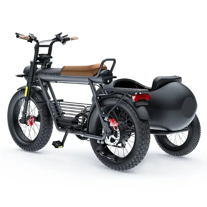 

CT20S/CT20 1000W Fat Tire Electric Tricycle Sidecar E-bike Carry Pets Three Wheel Pedal Assist 1500W Road Ebike Sidecar