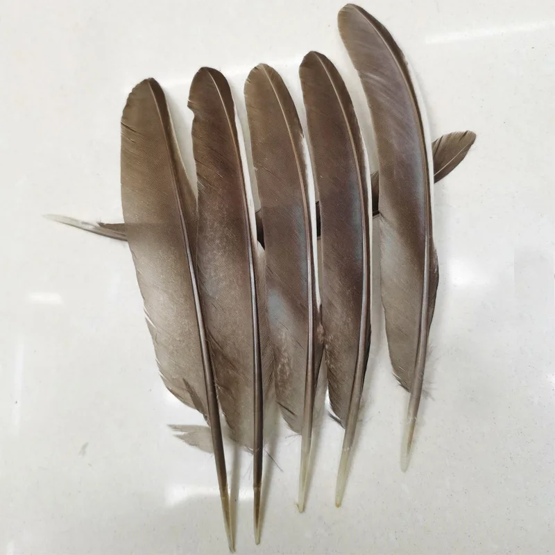 ¡100 unids/lote! 6-8 pulgadas 15-20 cm raramente natural Lady Amherst faisán plumas, Plumas, plumas para manualidades, fabricación de joyas
