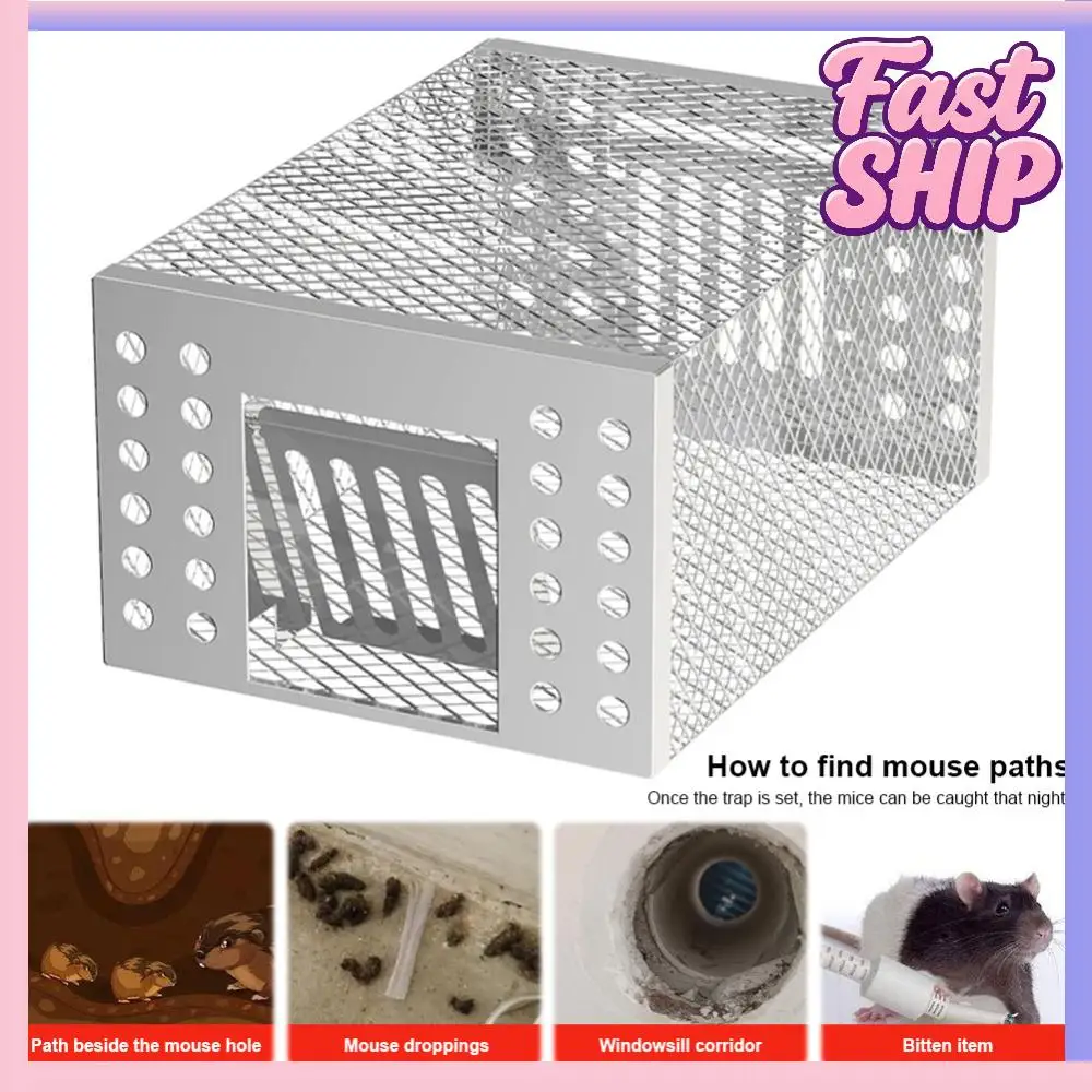 

Humane Mouse Trap with Double-Opening One-Way Door Rat Trap Cage Iron Rat Trap for Capturing Or Releasing Rodents