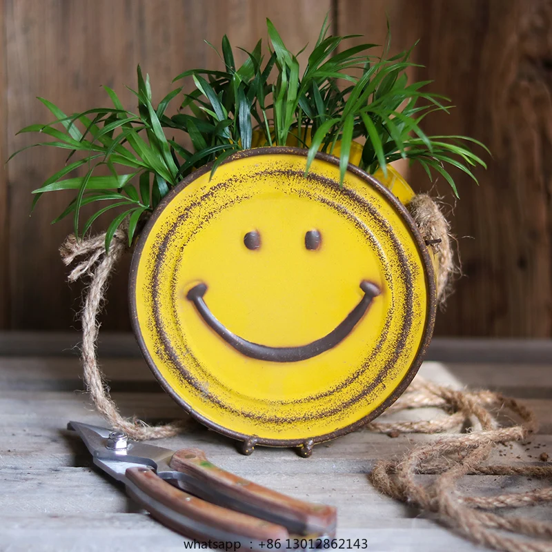 

Подвесной цветочный горшок, декоративная жестяная посуда для цветов, круглая цветочная коробка, персонализированная литература и искусство