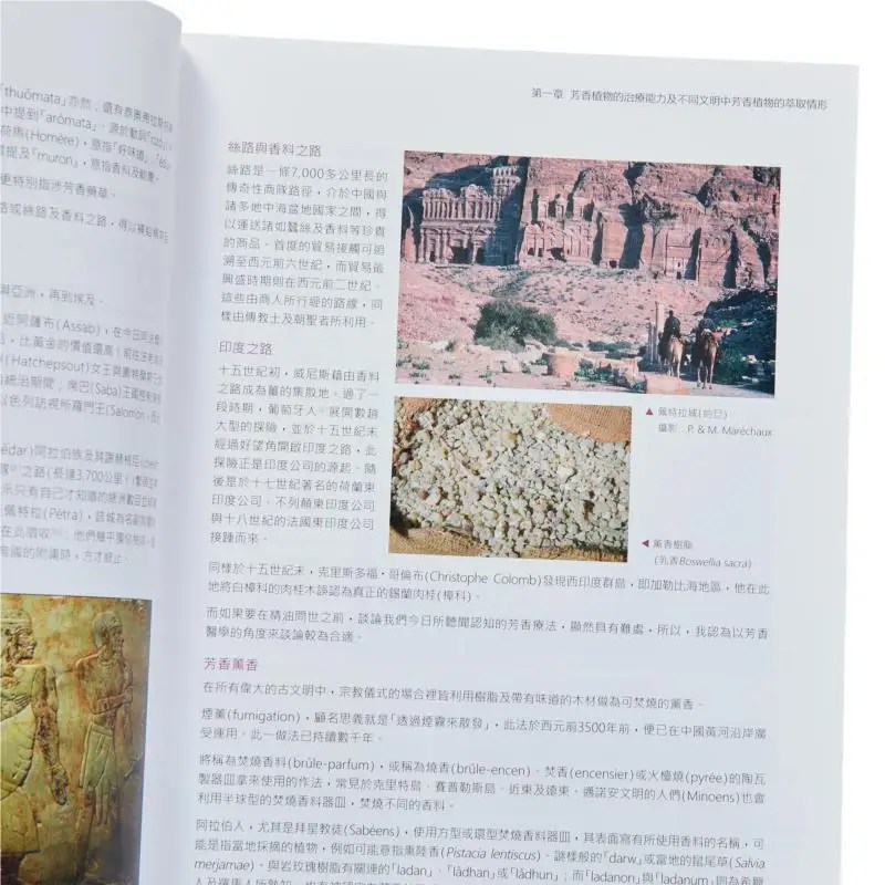 Medicinal Essential Oil Science Pierre Francois Yuanliu Academy 9789869948203 Book