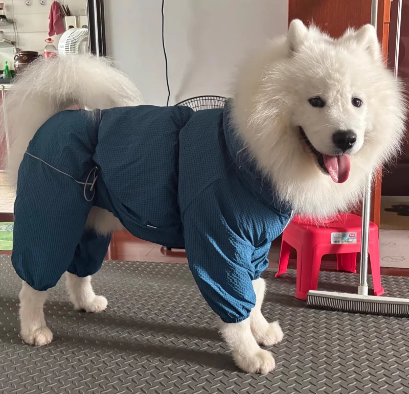 

Комбинезон для собак Шнауцер Пудель Бордер Колли Самоед Хаски Лабрадор Золотистый ретривер Одежда для больших собак Одежда для домашних животных Одежда