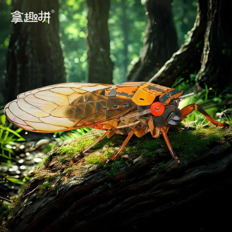 3D Acrylic Insect Puzzle Model, Crystal Clear Beetle Assembly Toy, Simulation Animal Figure Museum Souvenir, Gift For Kids Adult