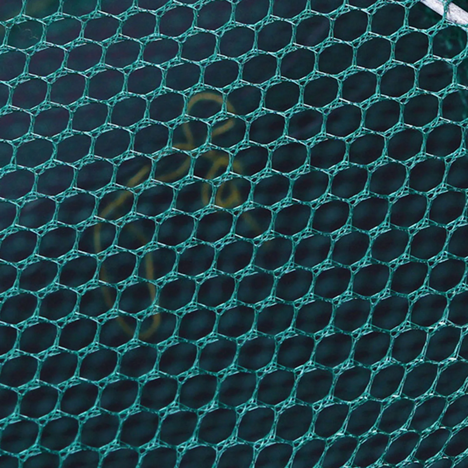 Zusammenklappbare Fischfalle, faltbarer Fischkäfig, Wurfnetz, feinmaschige Falle für Krabben, Garnelen, Krebse, Outdoor-Nylonnetz-Angelzubehör – Detail 8