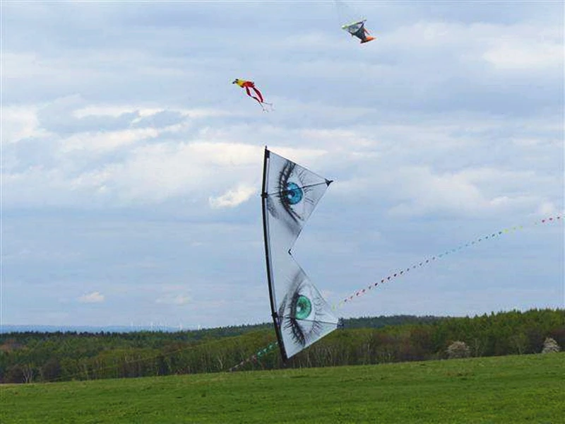 Linha quádrupla dublê pipas voando para adultos brinquedos ao ar livre pipa profissional pipa acrobática cometa tenda pólo vento volante