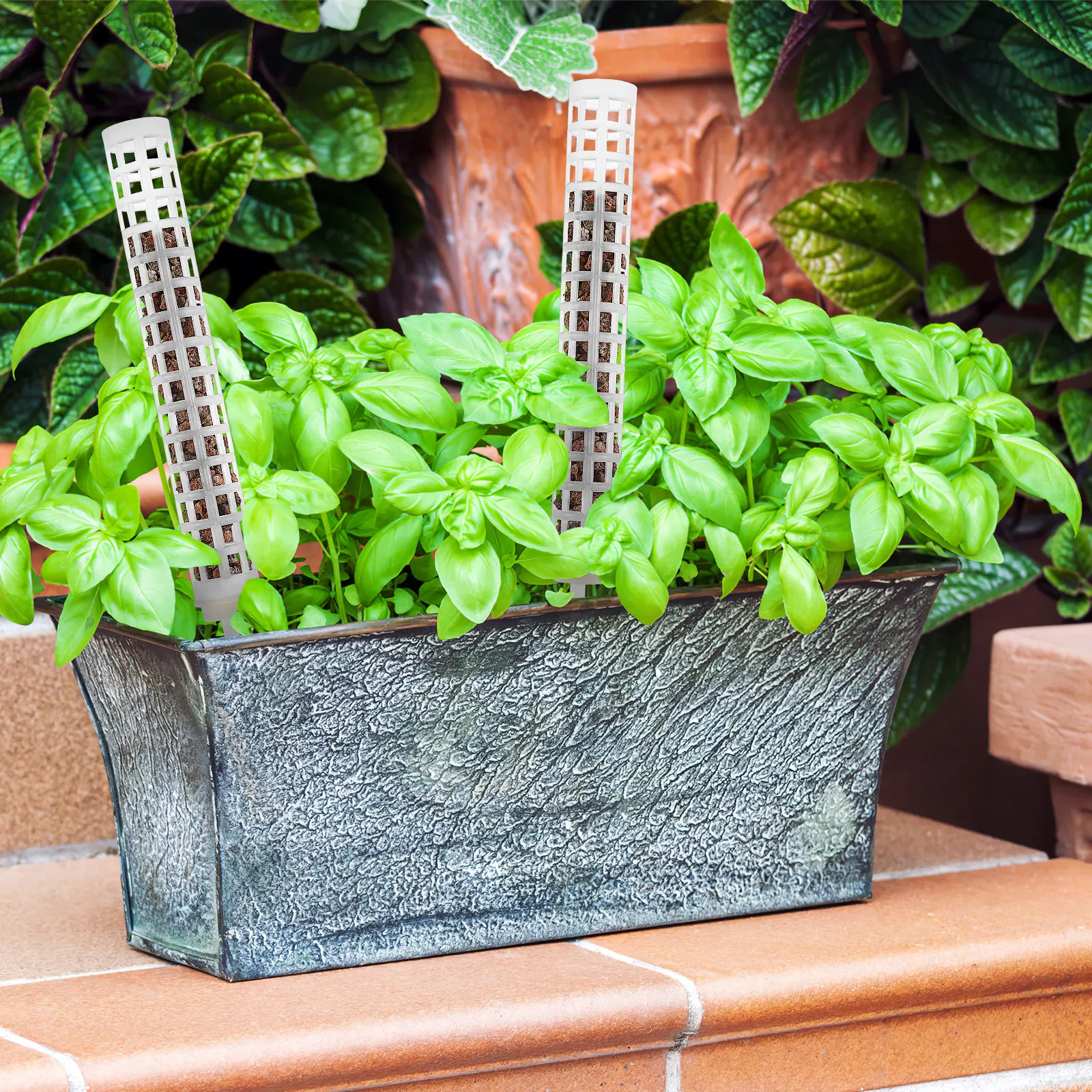 

6Pcs Plastic Moss Poles for Monstera Climbing Plants Indoor Plant Support Stakes with Rope Ties Reusable Non Rotting