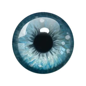 6ベストセールスドラゴンBJD -№4