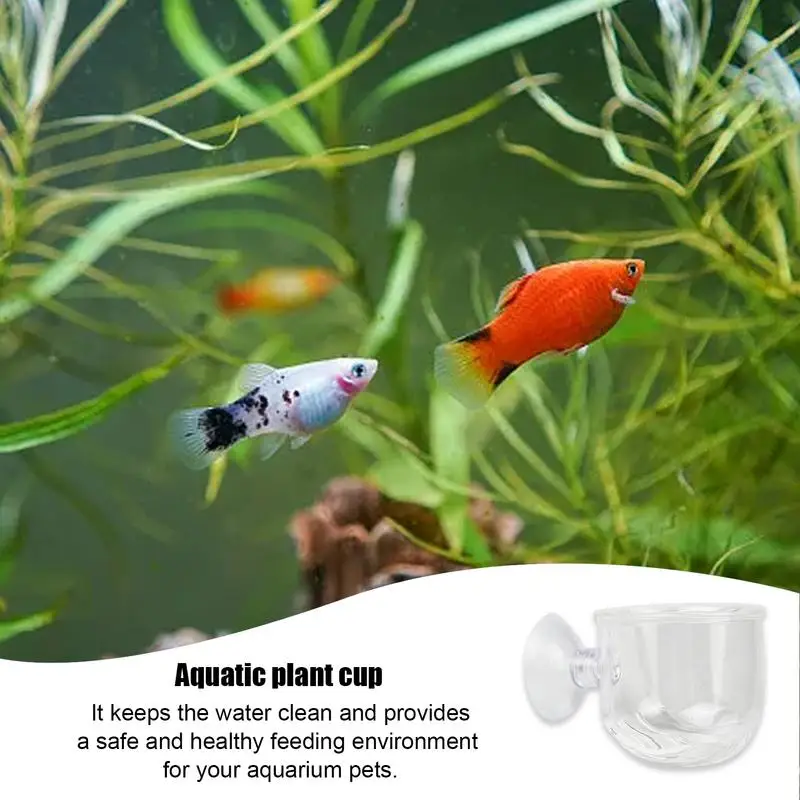 Aquarium Blood Worm Feeder Brine Shrimp Live Red Worm Fish Feeding Cup With Seam Glass Plant Cup For Aquarium Plants Red Shrimp