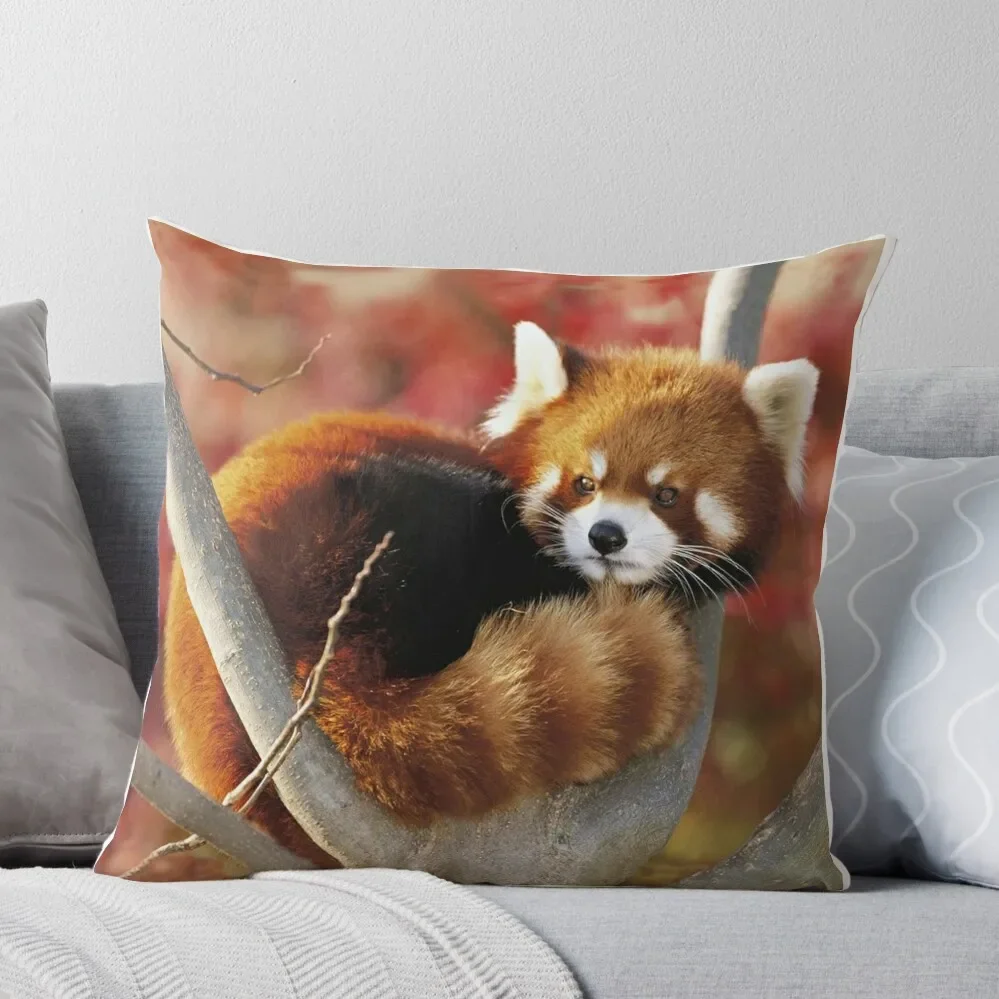 

Red Panda Throw Pillow Sofa Pillow Cover Marble Cushion Cover