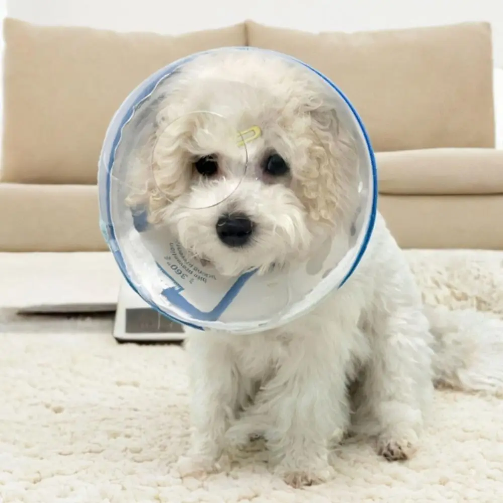 Thumbnail 4 - #40 Latest Pet Muzzles Offers