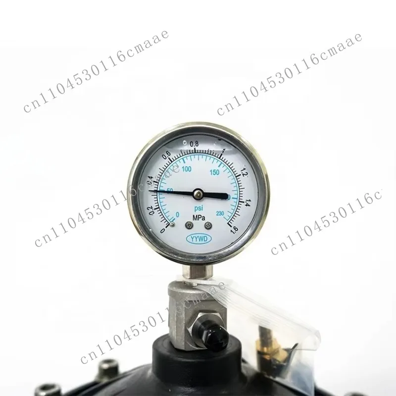 Pulsation Damper 0.35-4L DN15-DN50 Internal Thread Diaphragm Pulsation Dampener for Pumps Dosing System