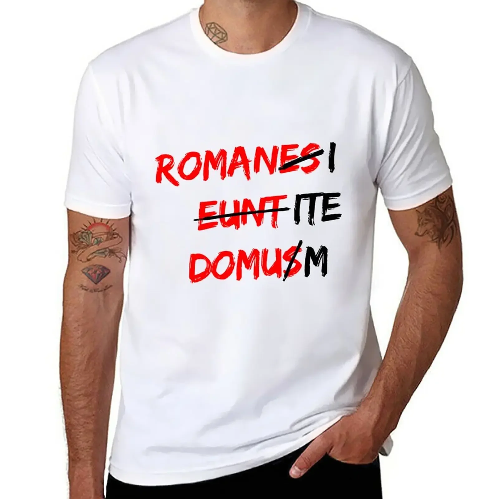

Romanes eunt domus T-Shirt boys whites cute tops oversized t shirt men