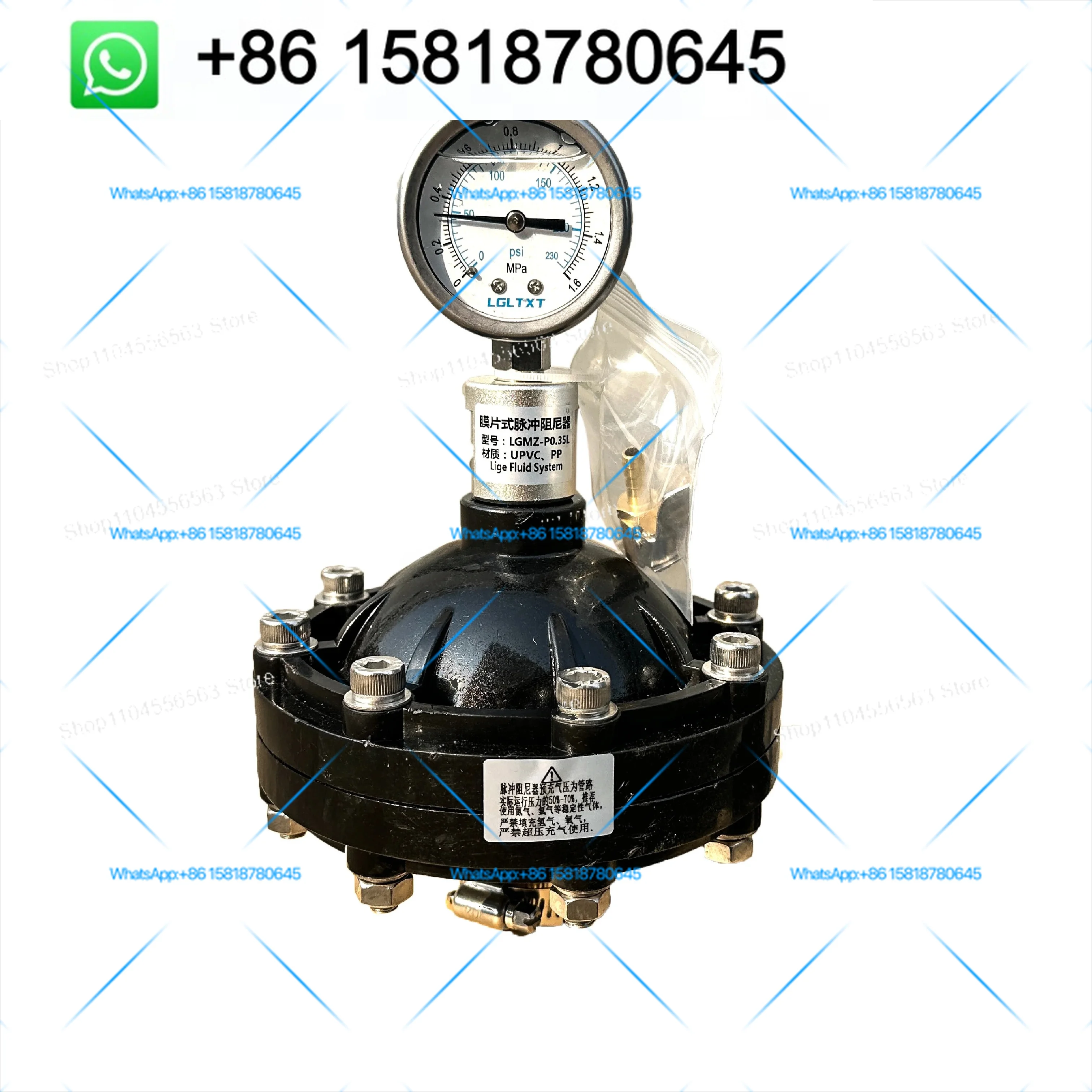 UPVC/PVDF 304 Pulse Buffer Diaphragm Pulse Damper LGMZ