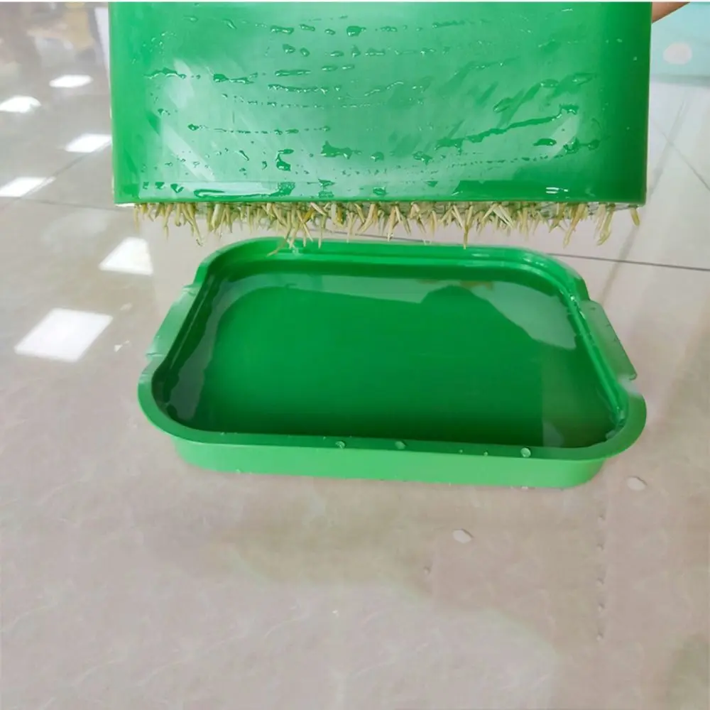 New With Cover Seed Sprouter Tray Plastic Green Sprout Dish Growing Pot Plants Germination Tray