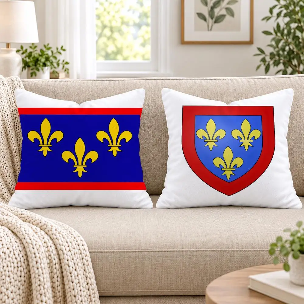 Anjou Flag French Region Cushion Cover Short Plush Double-Sided Printing Sofa Bedroom Pillow Case Aesthetic Home Decor