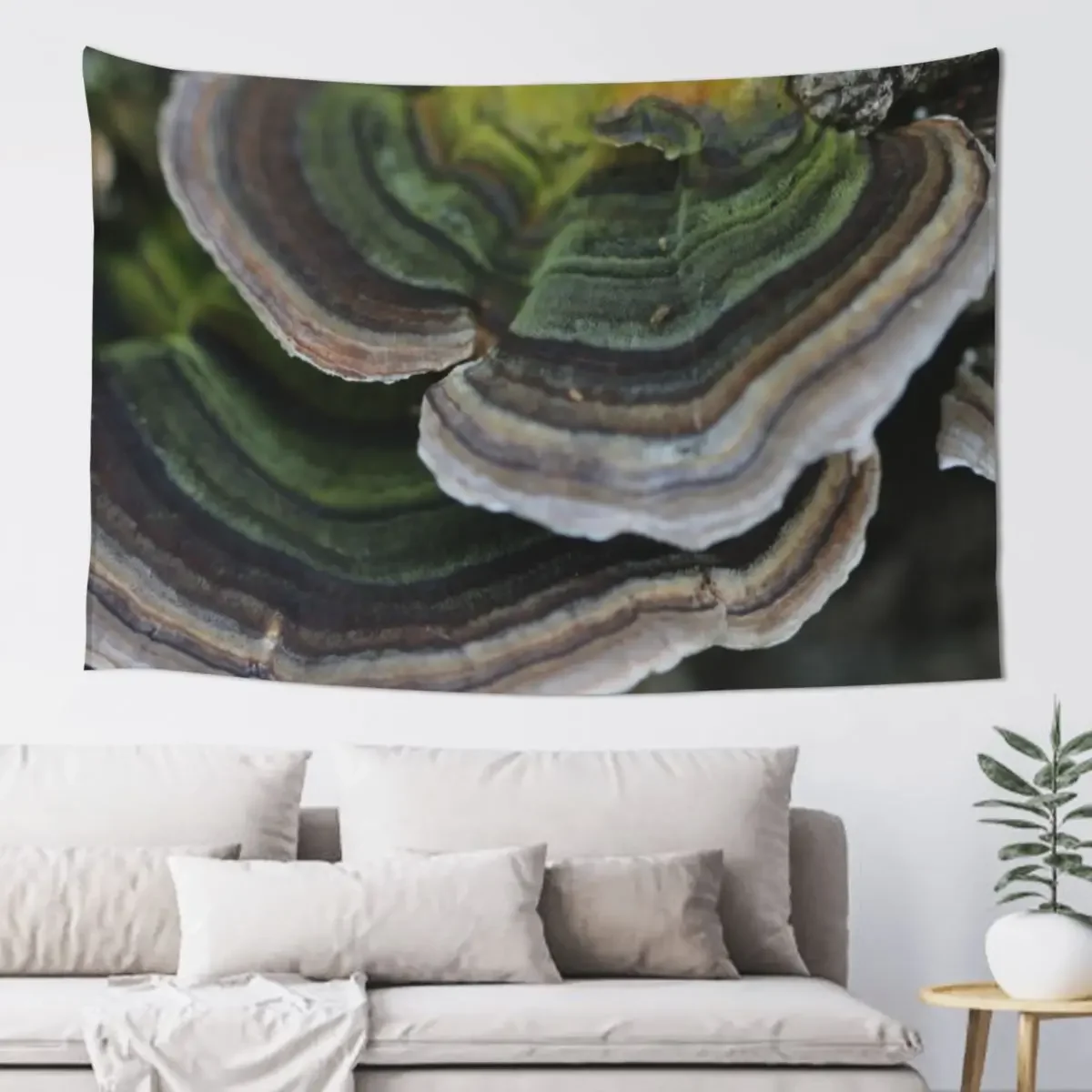 Bracket fungus Tapestry Cute Room Decor Carpet Wall Tapestry