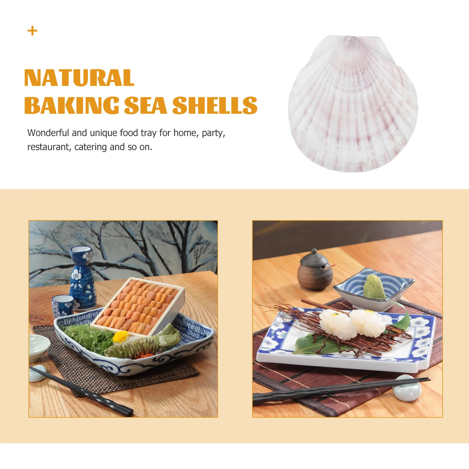 

Shell Plate for Baking and Serving Large Natural DIY Craft Decor Seaside Gift for Themed Party Favor
