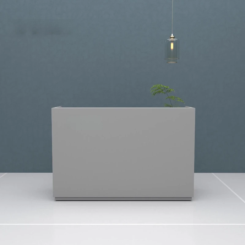 Beauty Salon Reception Desks White Modern Display Minimalist Reception Desks Organizers Aesthetic Mostrador Lounge Furniture