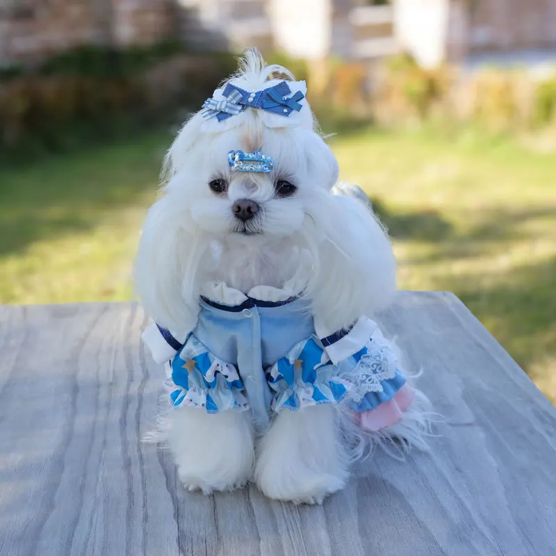 

Dog Cat Lolita Princess Tutu Dress Tiered Ruffles Lace Adjustable Fancy Party Outfit,Cake Gown Costume For Small Medium Dogs