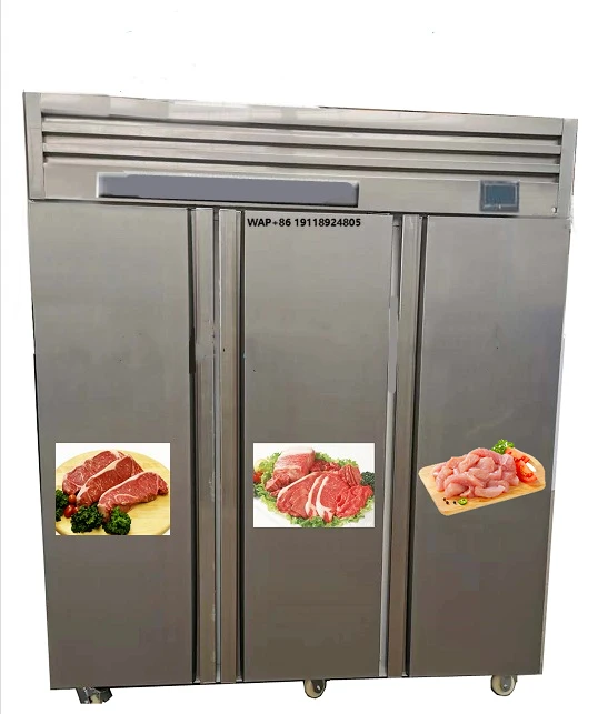 Commercial Industrial Frozen Meat Thawing Machine Defrosting Machine for Restaurant