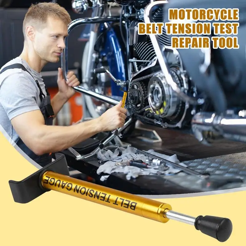 1Pcs 10 Lb Belt Ten…