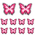 PE11057CT