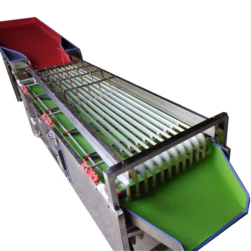 Fruit Classifier Olive Cherry Tomato Picker Sorter Grader Machine