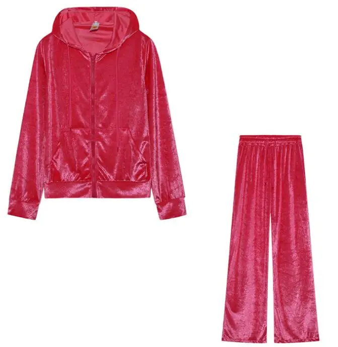 2025 الخريف الشتاء المرأة البلوز مجموعة بلون عادية بسيطة مقنعين 2 قطعة مجموعة موضة رياضة الركض امرأة بانت مجموعات #4