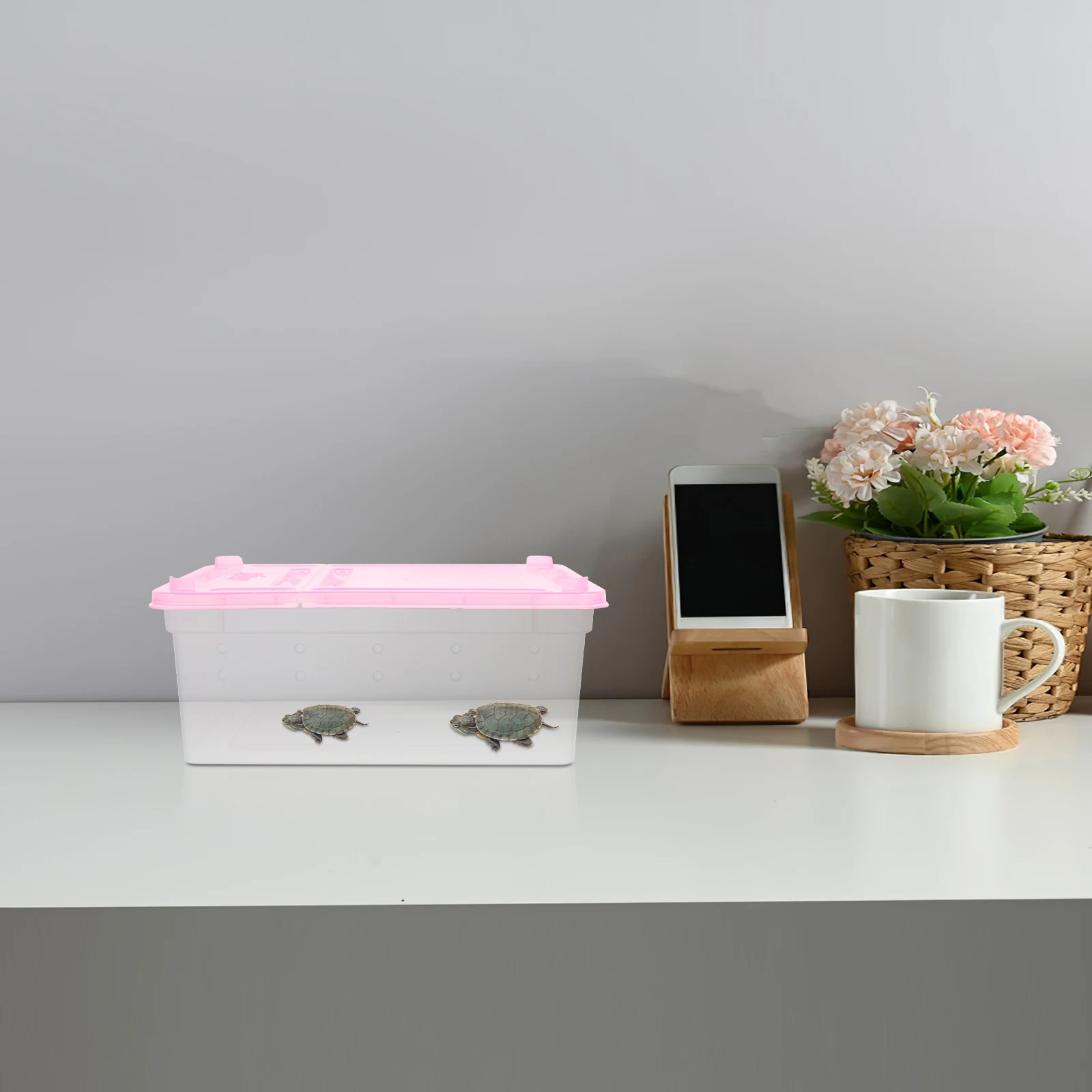 

2pcs Raising Boxes Blue Pink Small Animal Breeding Reptile Containers Portable Plastic Snail Cases Household Cages