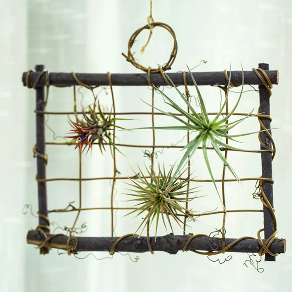 3PCS Hanging Design Air Plant Frame Holder Rattan Material Wall Mounted Wood Wall Frame Planter Decoration Purpose